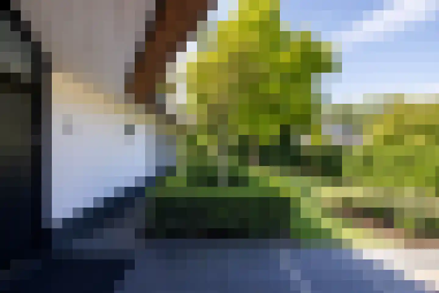 Grevelingenhout 90 Bruinisse thumbnail 5