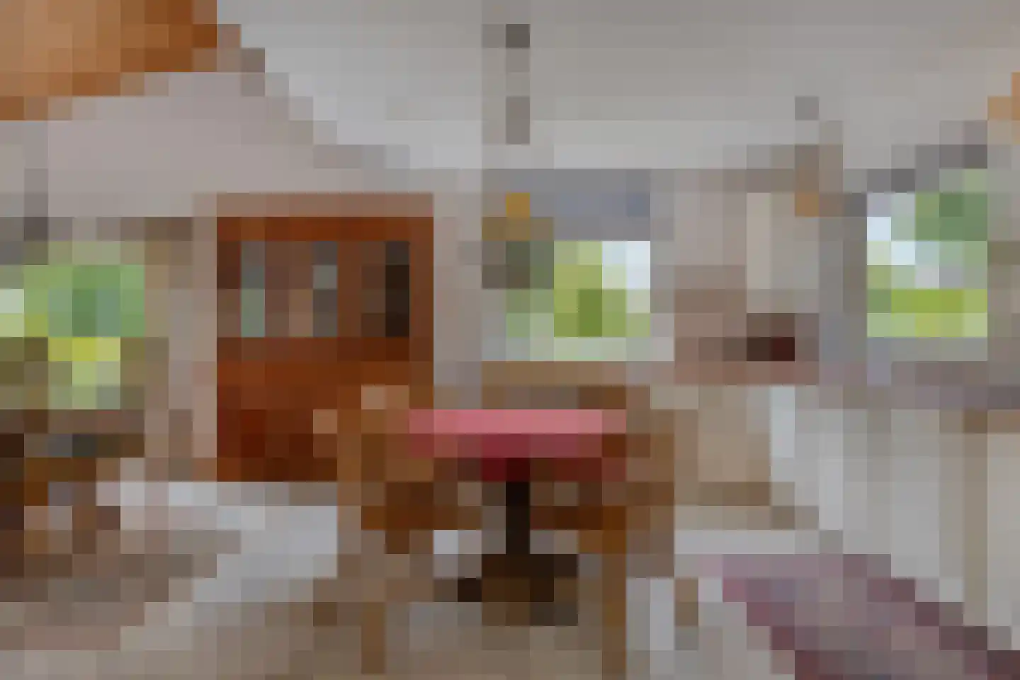 Grevelingenlaan 12 Burgh-Haamstede thumbnail 20