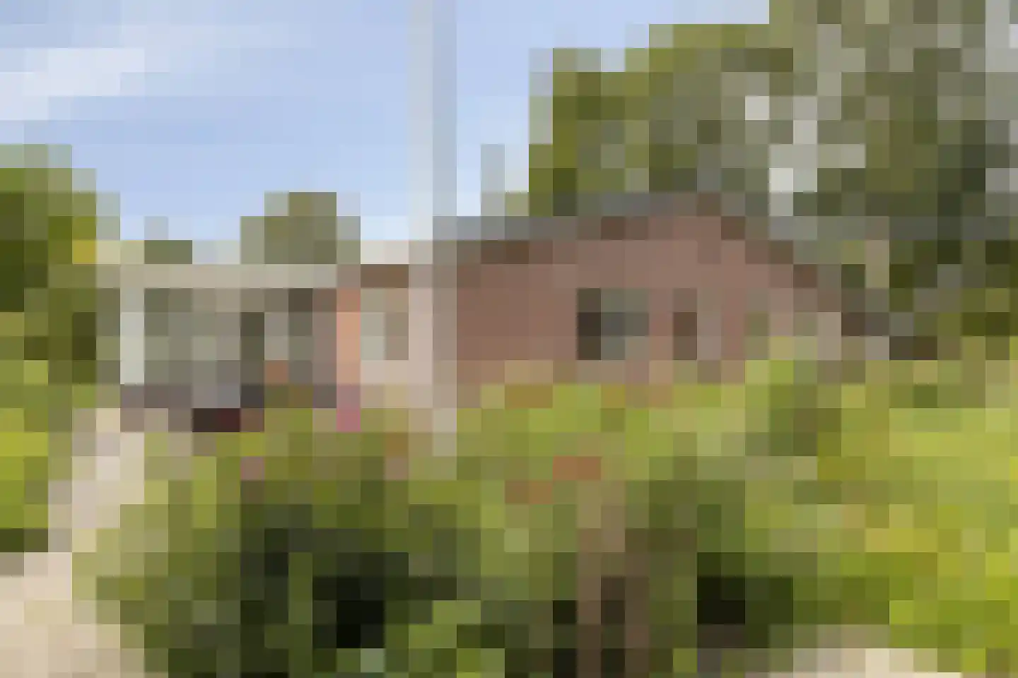 Grevelingenlaan 12 Burgh-Haamstede foto 3