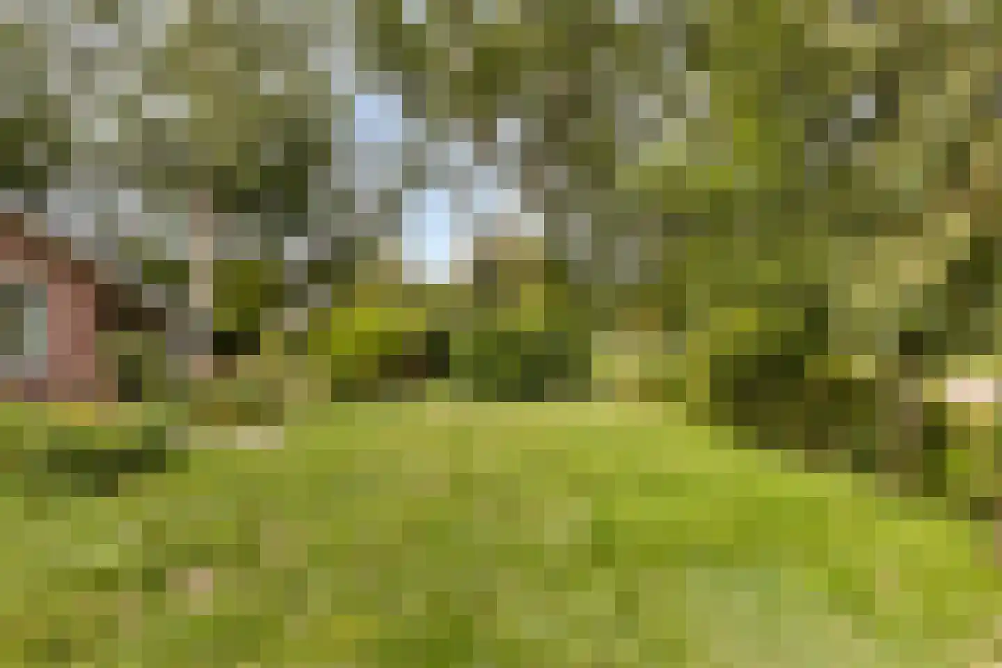 Grevelingenlaan 12 Burgh-Haamstede thumbnail 37