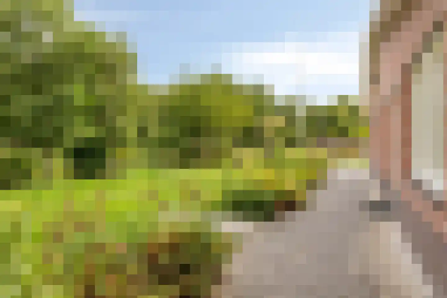 Grevelingenlaan 12 Burgh-Haamstede thumbnail 38