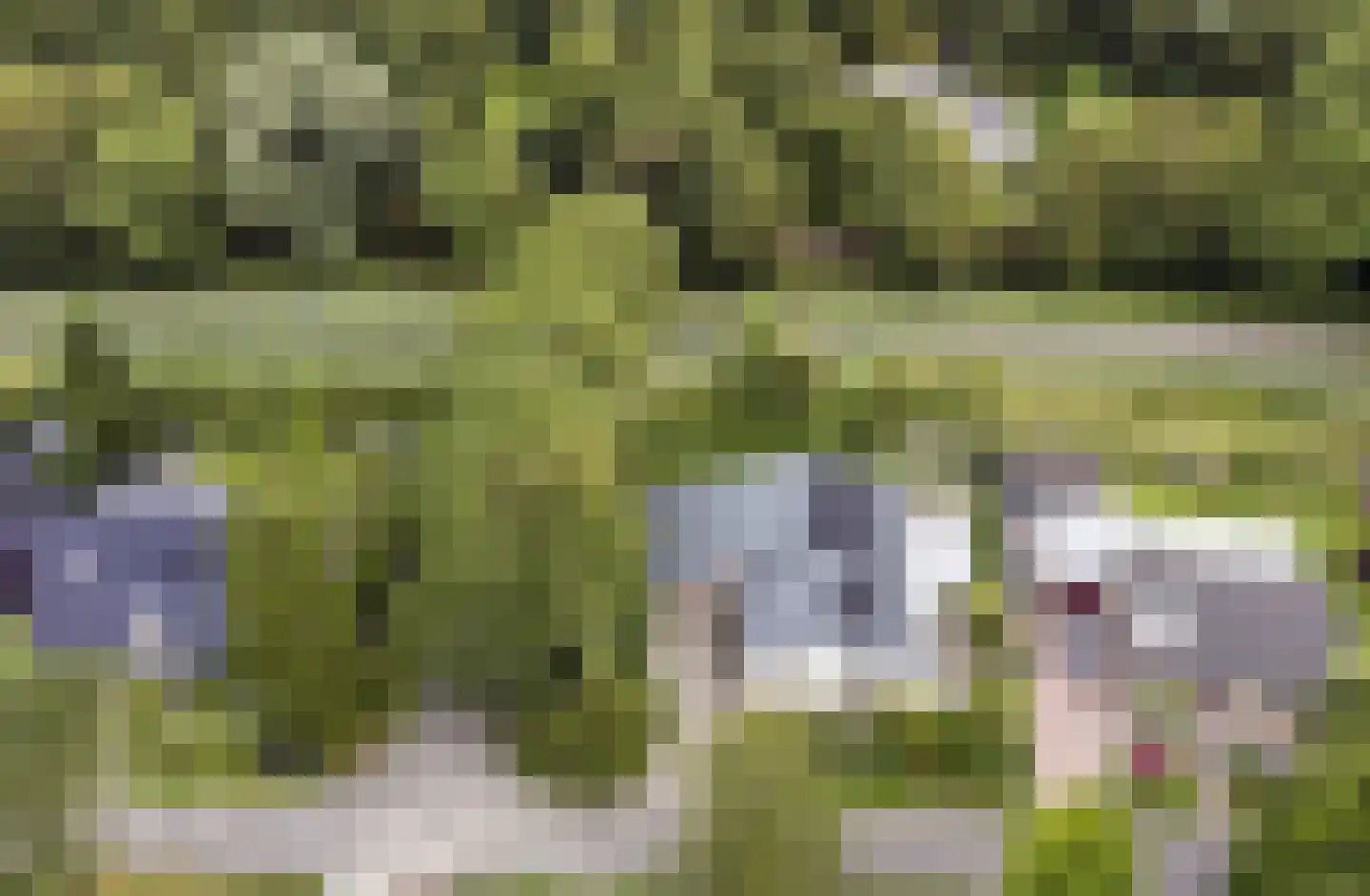 Grevelingenlaan 12 Burgh-Haamstede thumbnail 4