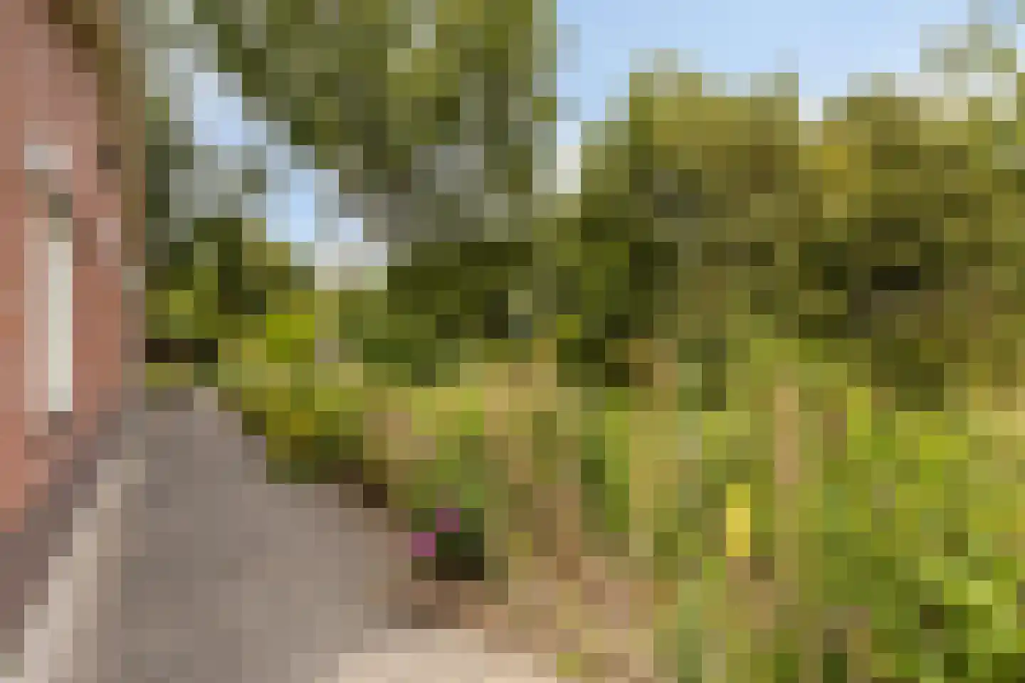 Grevelingenlaan 12 Burgh-Haamstede thumbnail 40