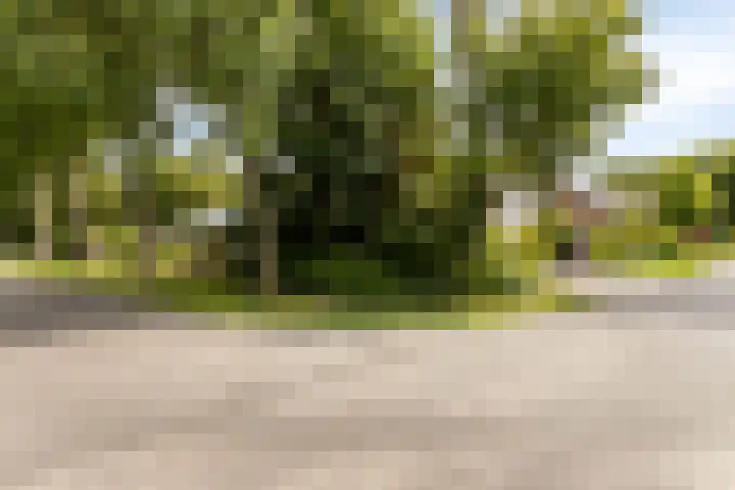 Grevelingenlaan 12 Burgh-Haamstede thumbnail 44