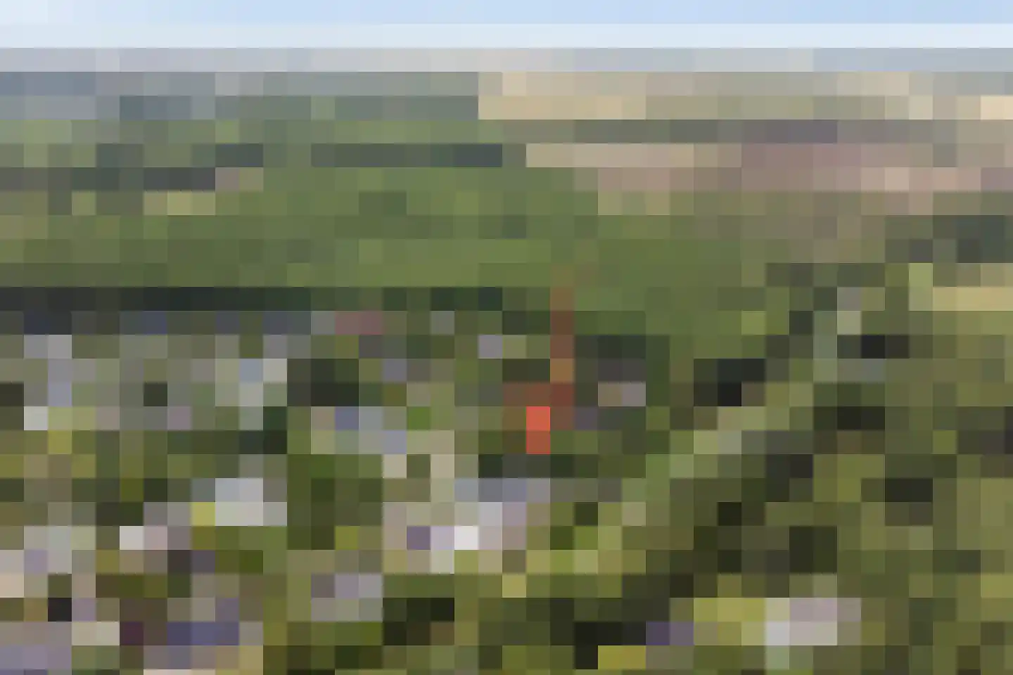 Grevelingenlaan 12 Burgh-Haamstede thumbnail 47