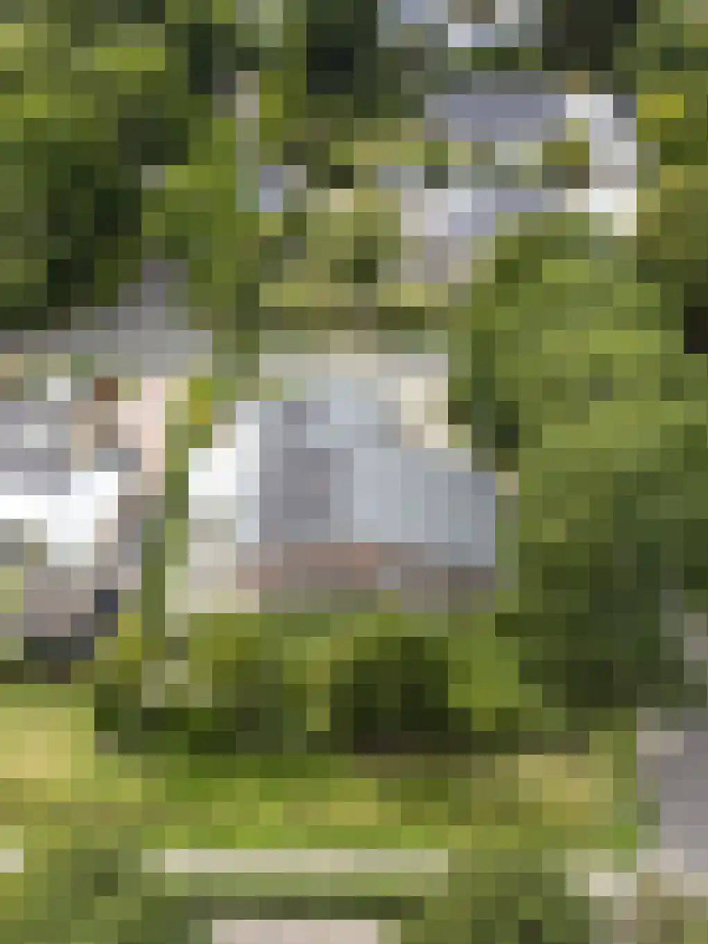 Grevelingenlaan 12 Burgh-Haamstede thumbnail 7