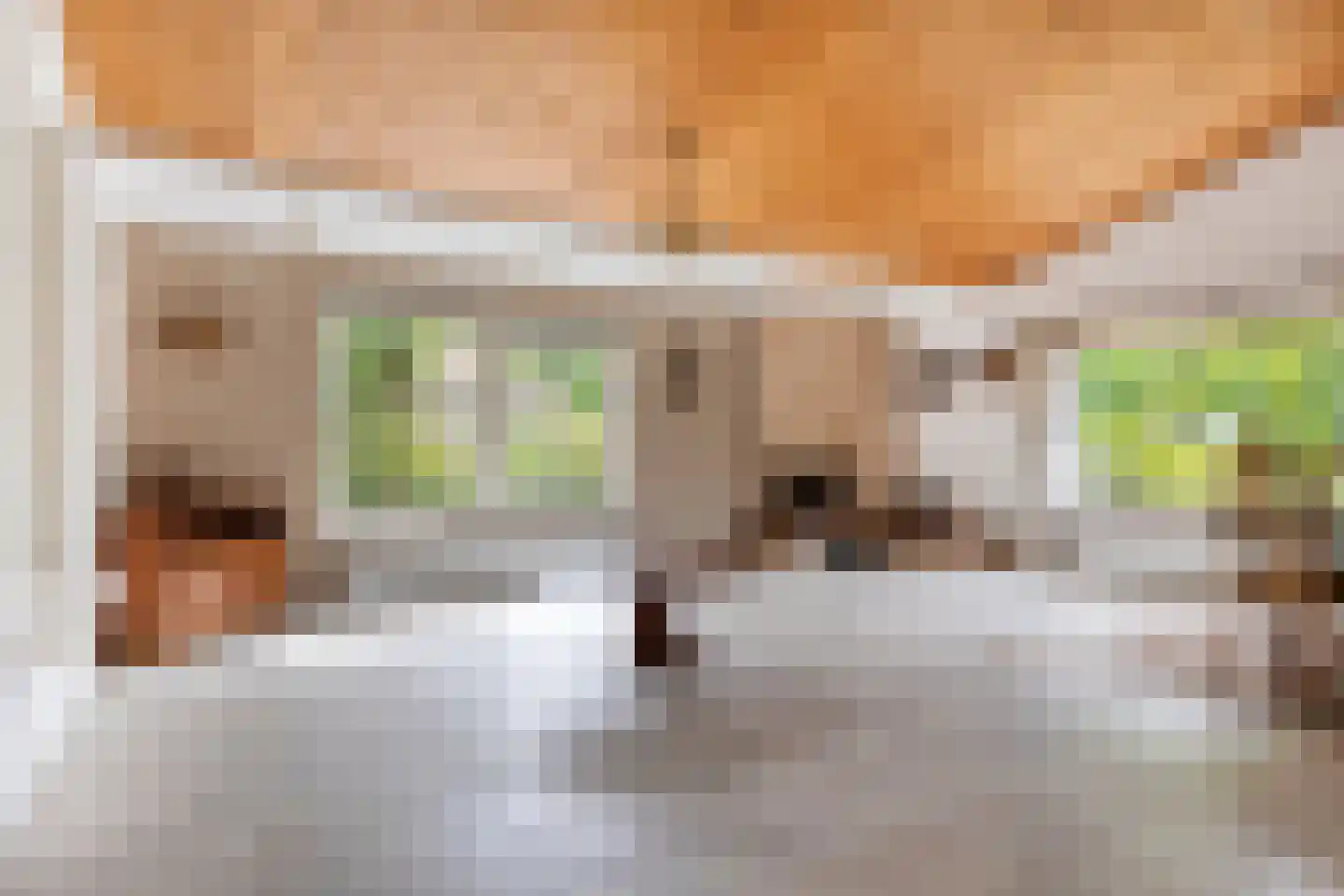 Grevelingenlaan 12 Burgh-Haamstede thumbnail 8