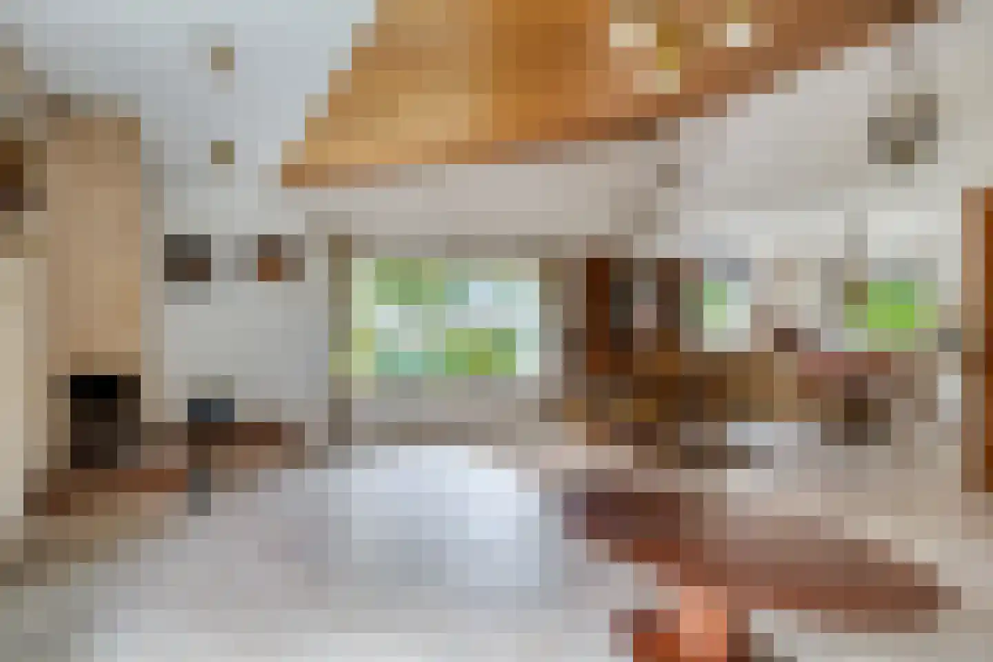 Grevelingenlaan 12 Burgh-Haamstede thumbnail 9