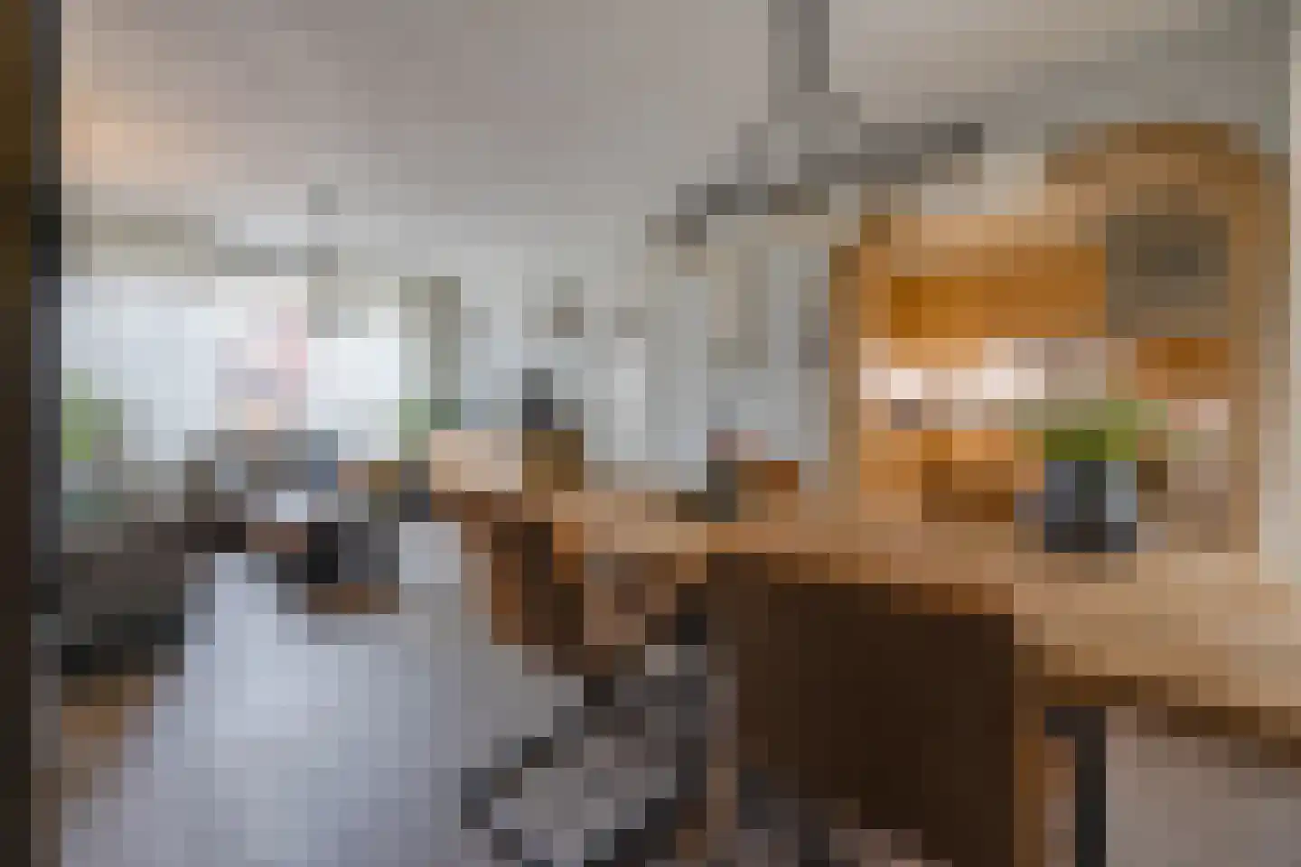 Grevelingenlaan 16 Stadskanaal thumbnail 12