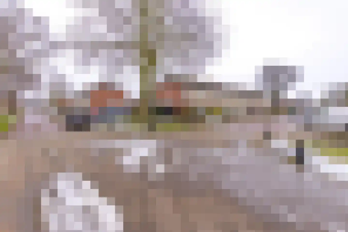Grevelingenlaan 16 Stadskanaal thumbnail 5