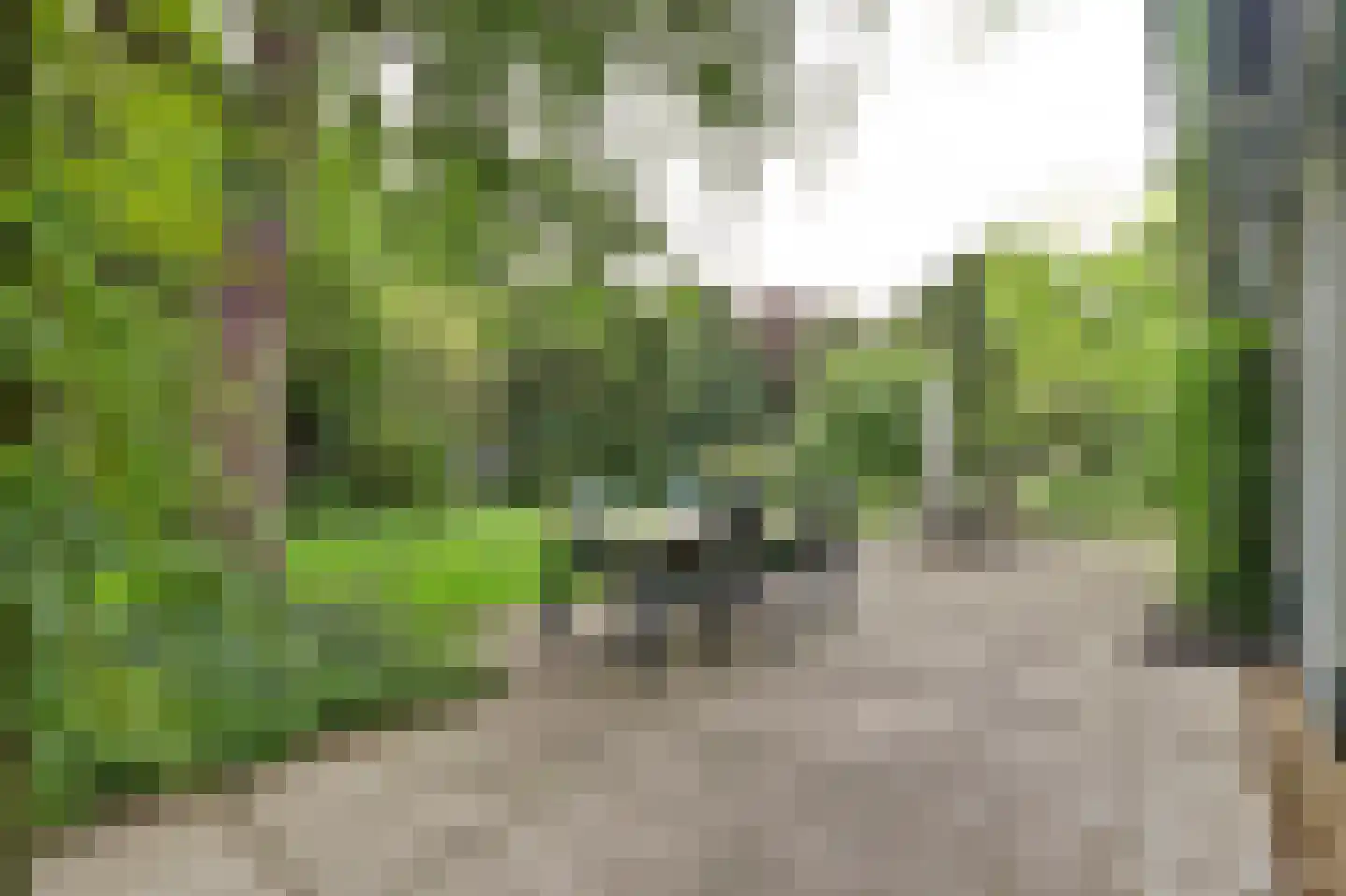 Grevelingenlaan 22 Burgh-Haamstede thumbnail 41