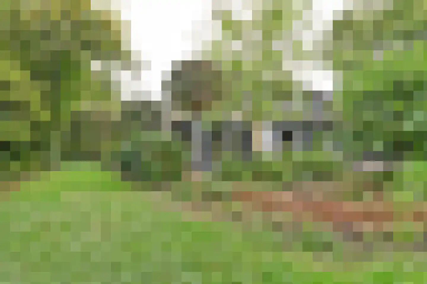 Grevelingenlaan 22 Burgh-Haamstede thumbnail 45