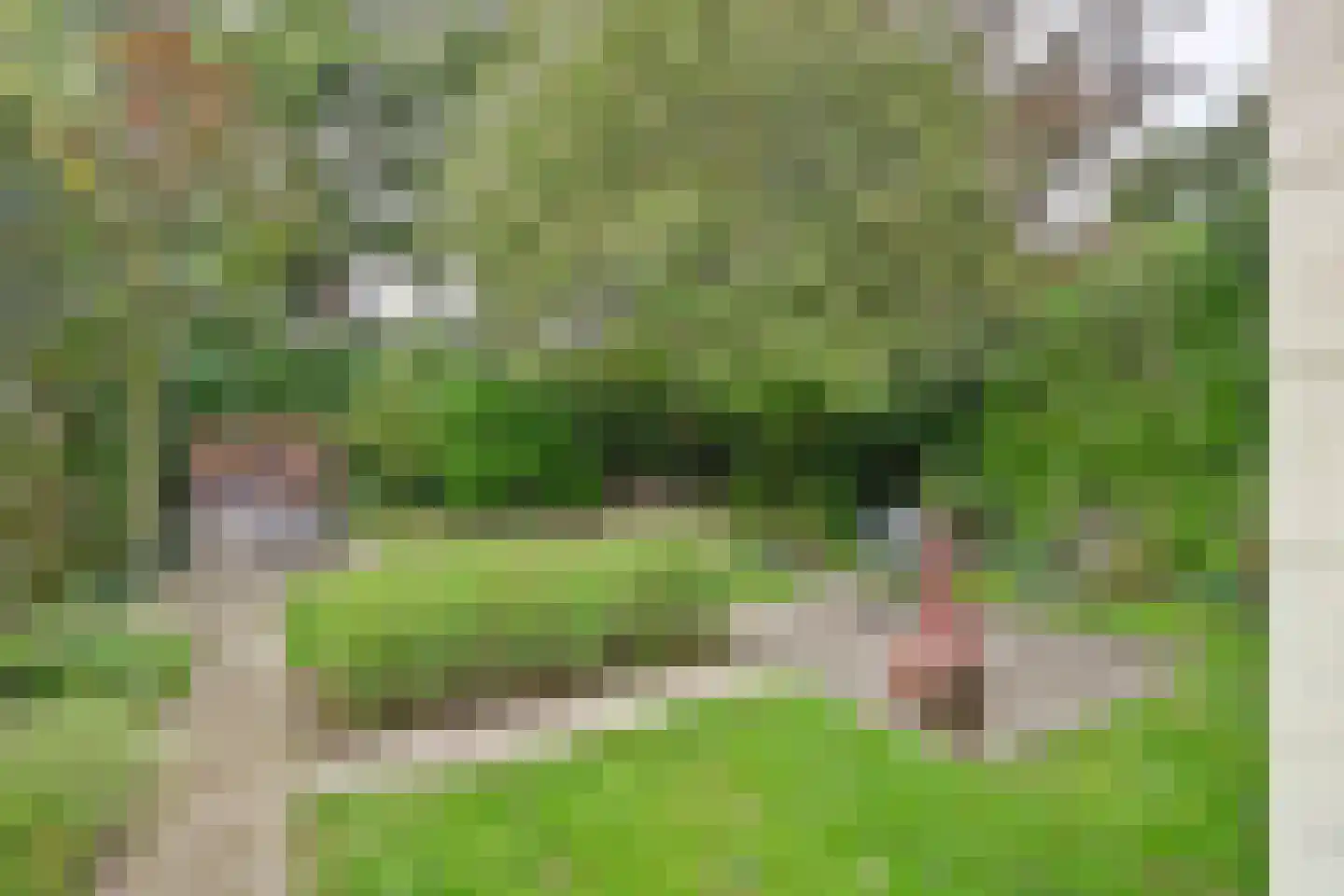 Grevelingenlaan 22 Burgh-Haamstede thumbnail 48