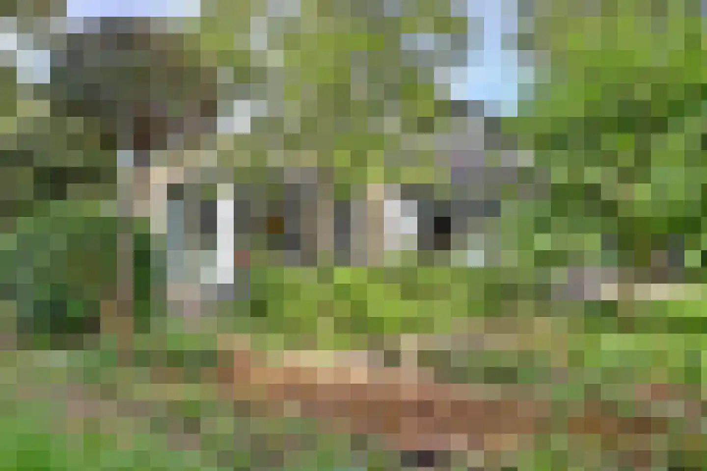 Grevelingenlaan 22 Burgh-Haamstede thumbnail 5