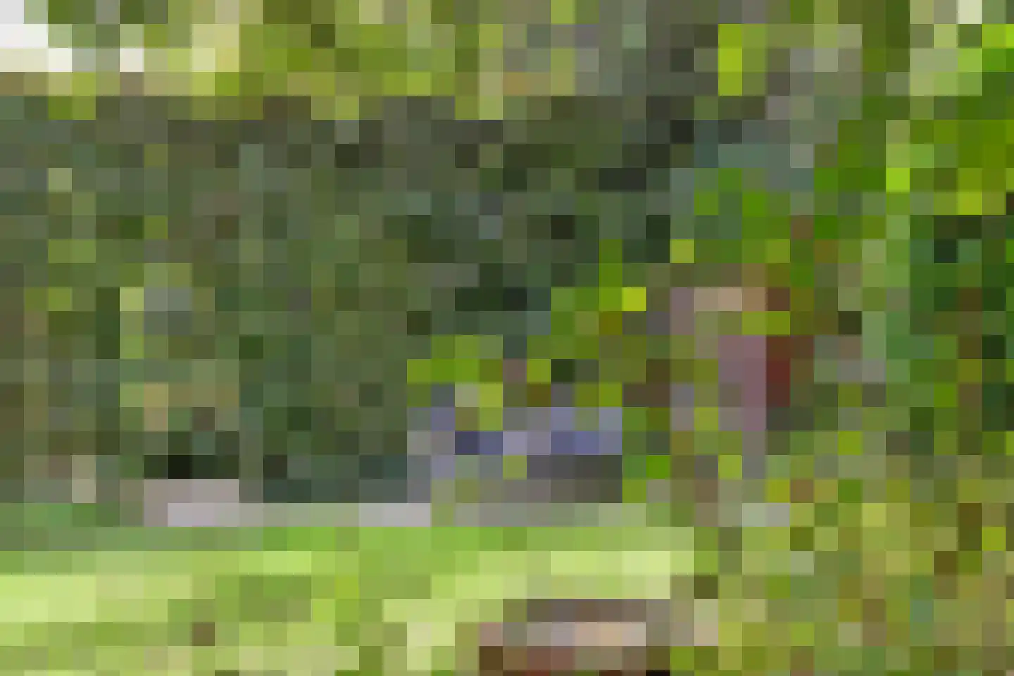 Grevelingenlaan 22 Burgh-Haamstede thumbnail 51