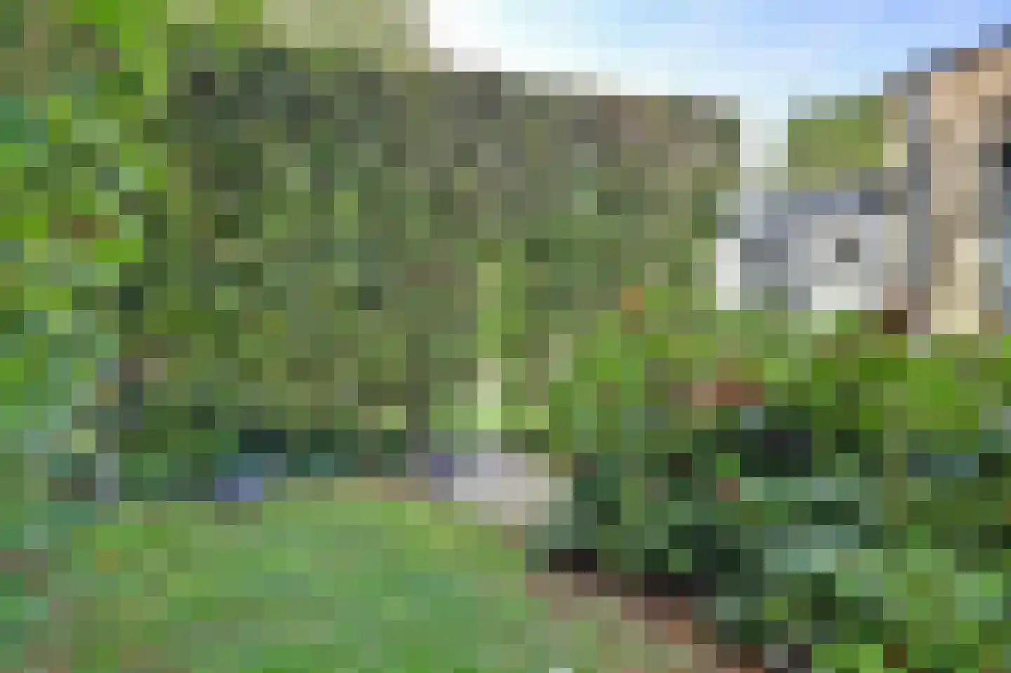 Grevelingenlaan 22 Burgh-Haamstede thumbnail 56