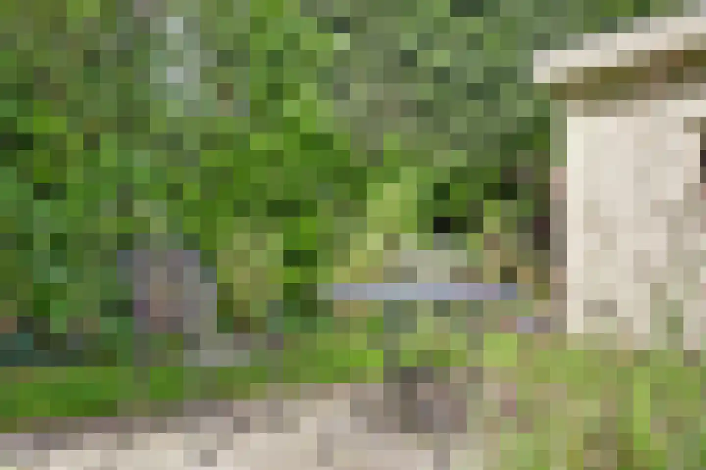 Grevelingenlaan 22 Burgh-Haamstede thumbnail 58