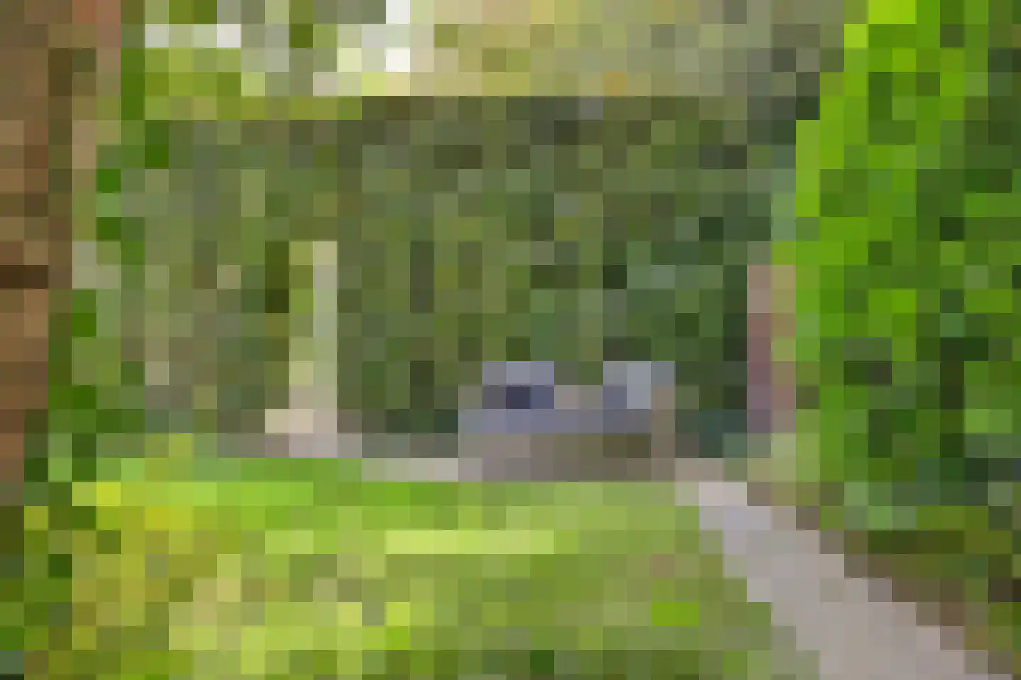 Grevelingenlaan 22 Burgh-Haamstede thumbnail 59