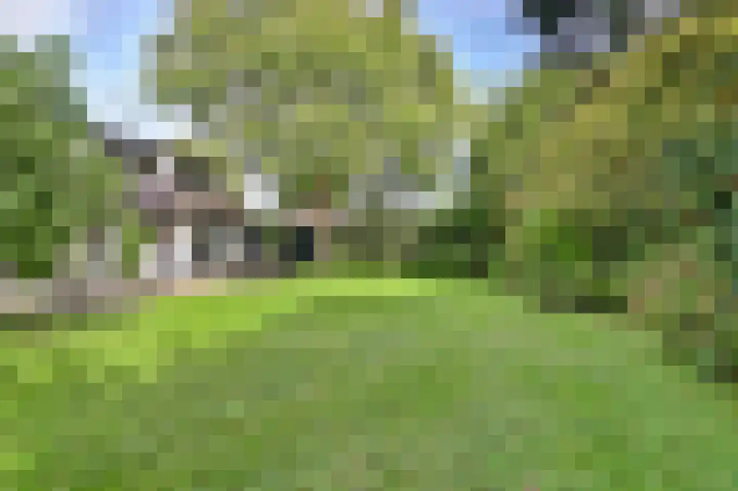 Grevelingenlaan 22 Burgh-Haamstede thumbnail 60
