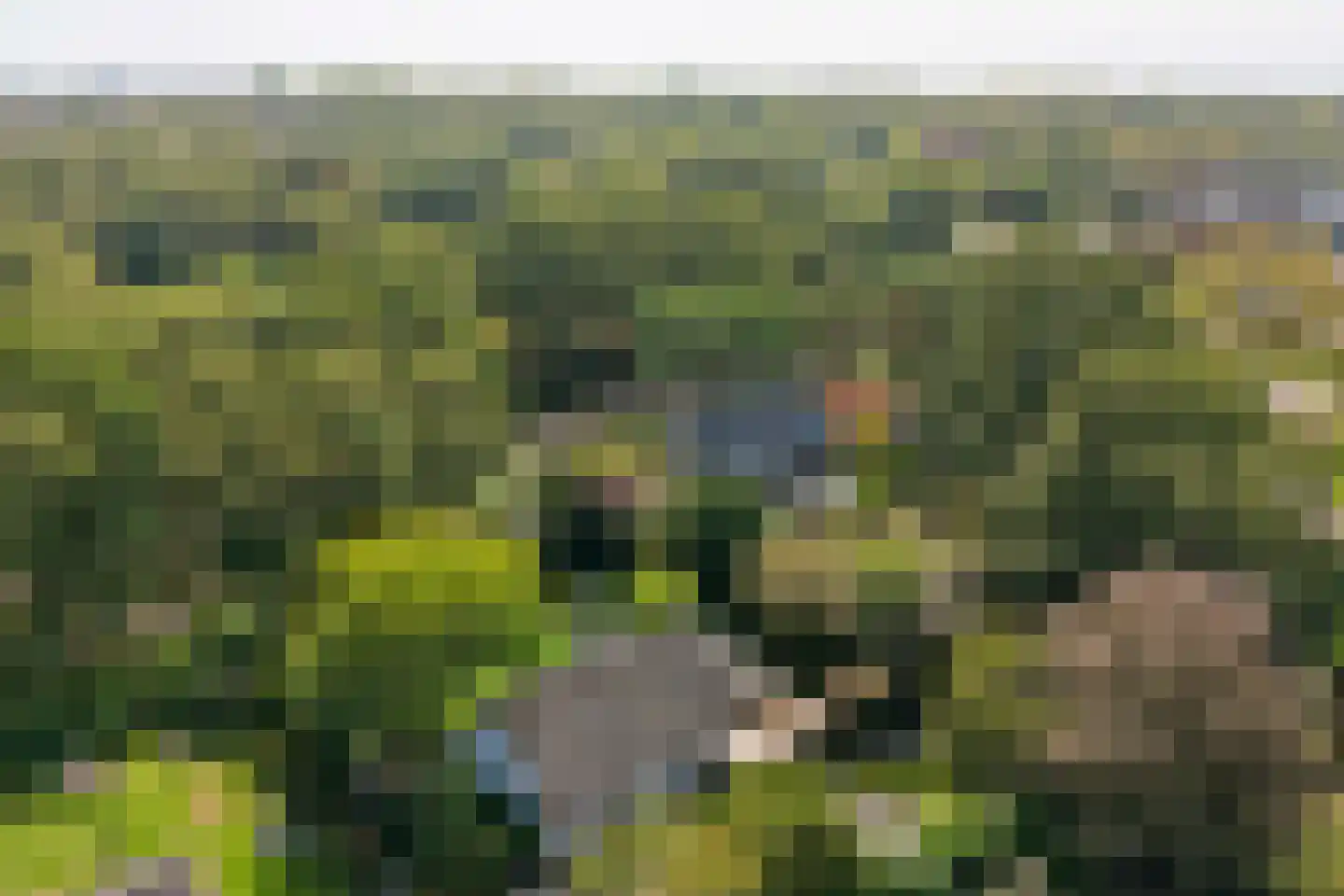 Grevelingenlaan 22 Burgh-Haamstede thumbnail 63