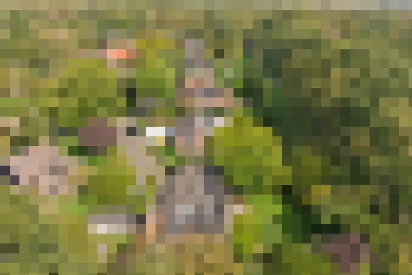 Grevelingenlaan 22 Burgh-Haamstede thumbnail 64
