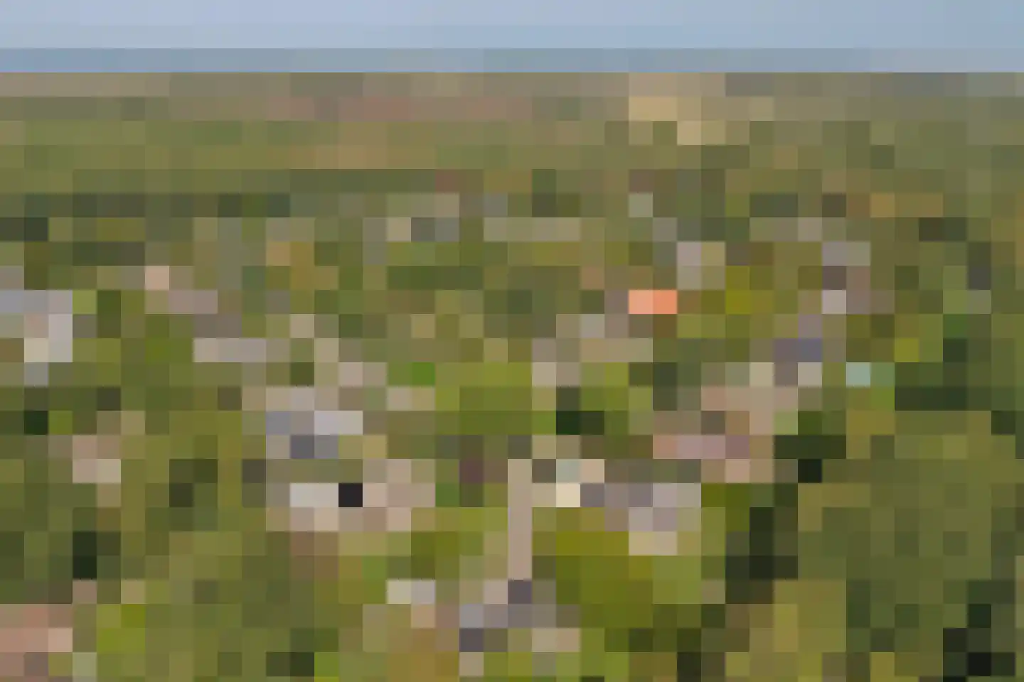 Grevelingenlaan 22 Burgh-Haamstede thumbnail 65