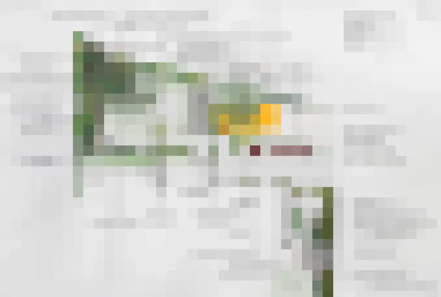 Grevelingenlaan 22 Burgh-Haamstede thumbnail 68