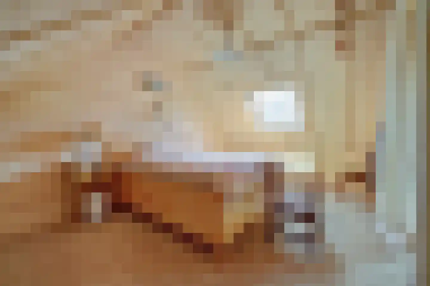 Grevelingenlaan 25 Burgh-Haamstede thumbnail 31