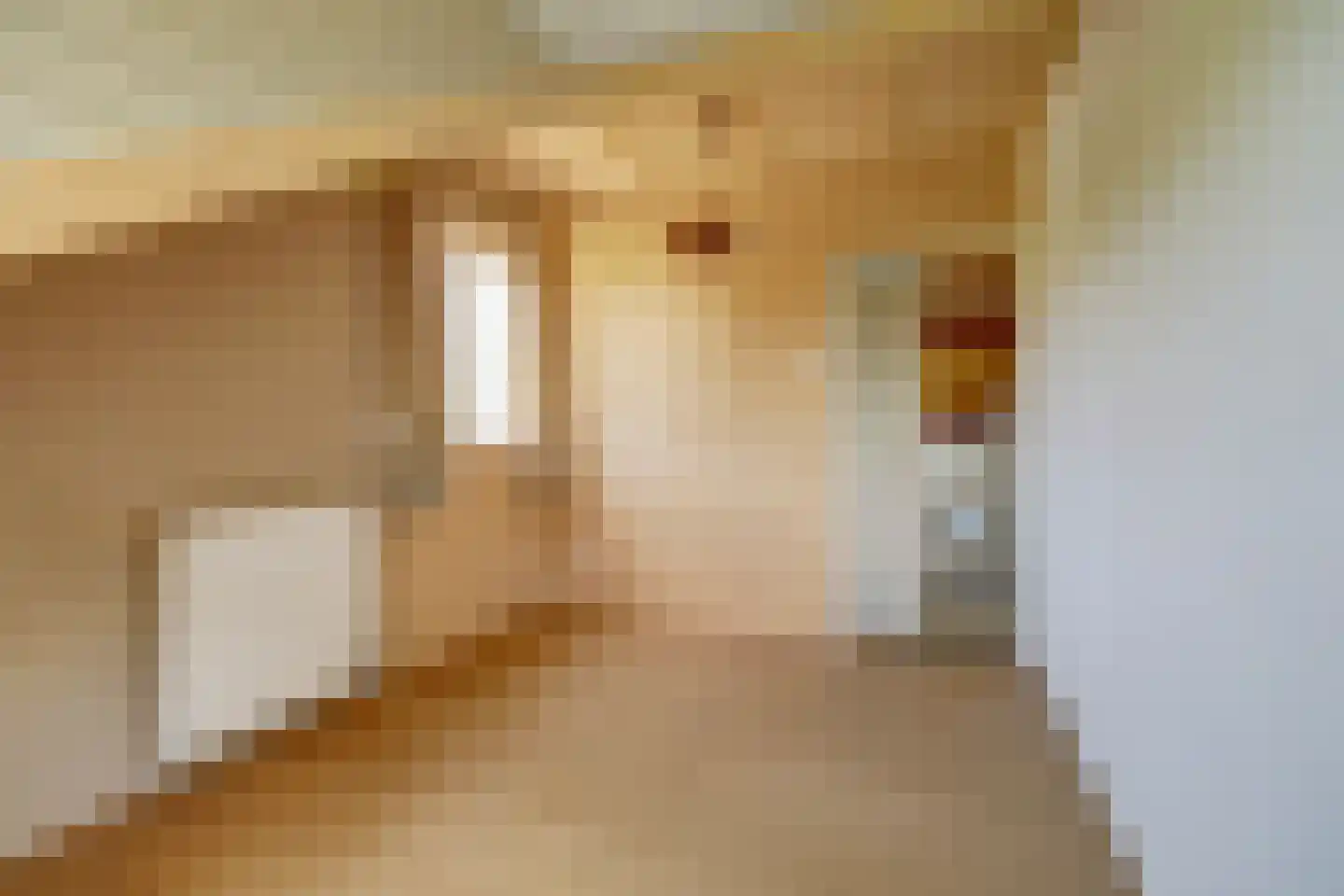 Grevelingenlaan 25 Burgh-Haamstede thumbnail 33