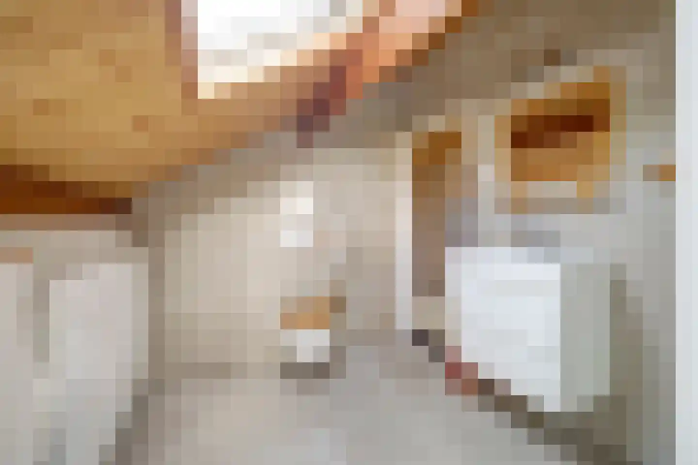 Grevelingenlaan 25 Burgh-Haamstede thumbnail 35