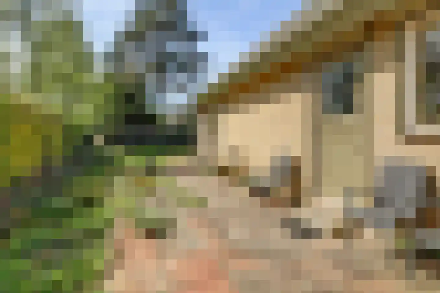 Grevelingenlaan 25 Burgh-Haamstede thumbnail 38