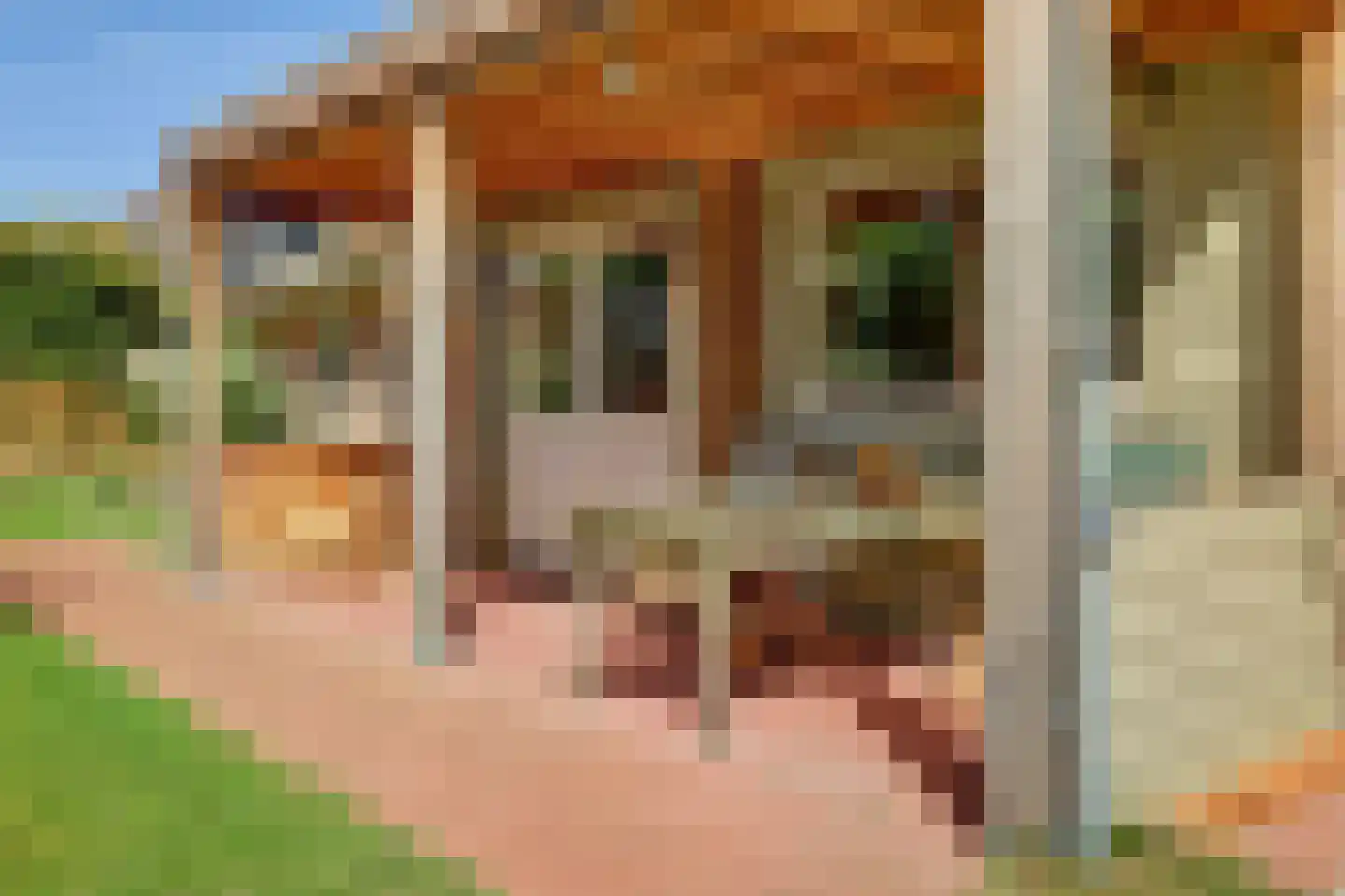 Grevelingenlaan 25 Burgh-Haamstede thumbnail 39
