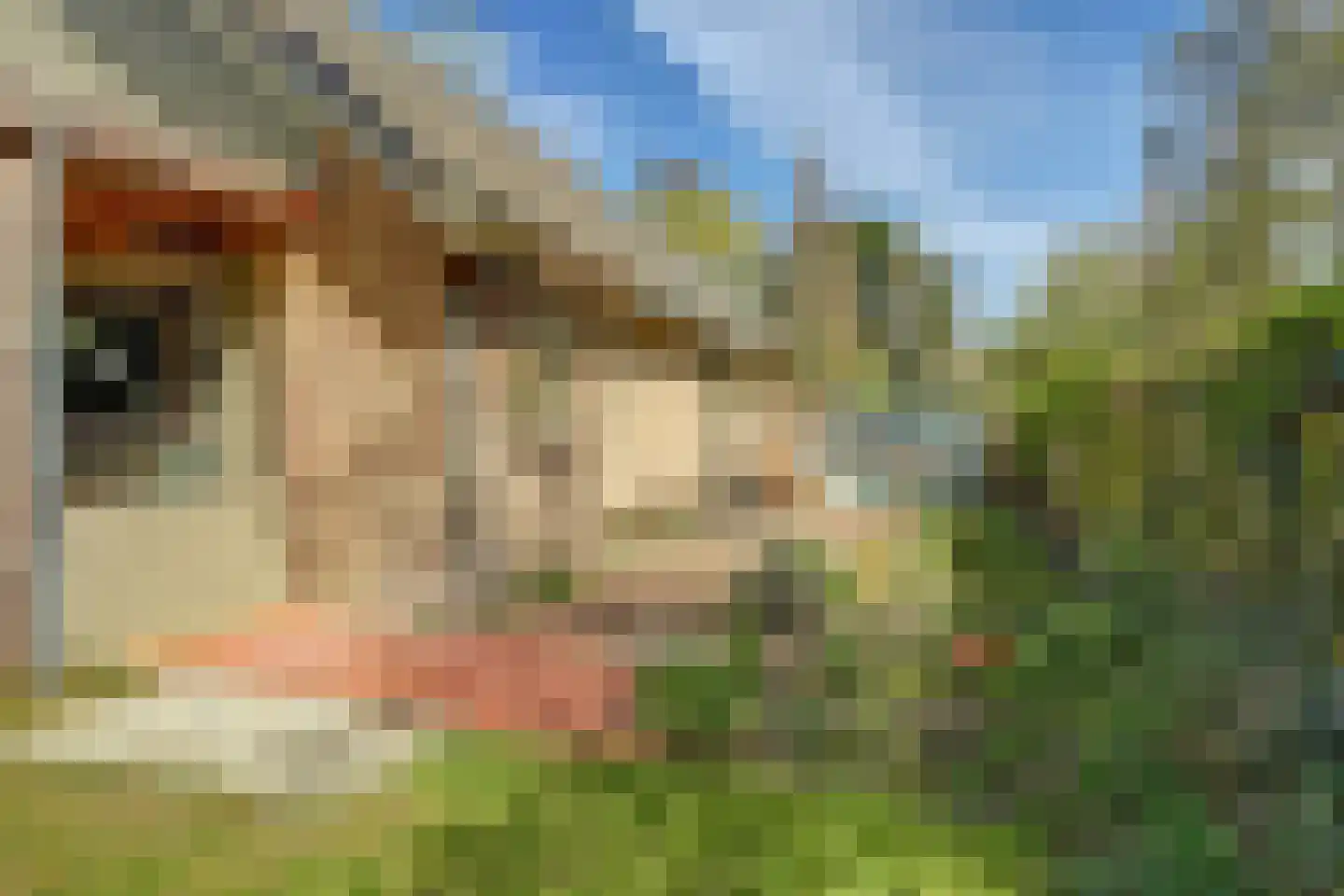 Grevelingenlaan 25 Burgh-Haamstede thumbnail 40