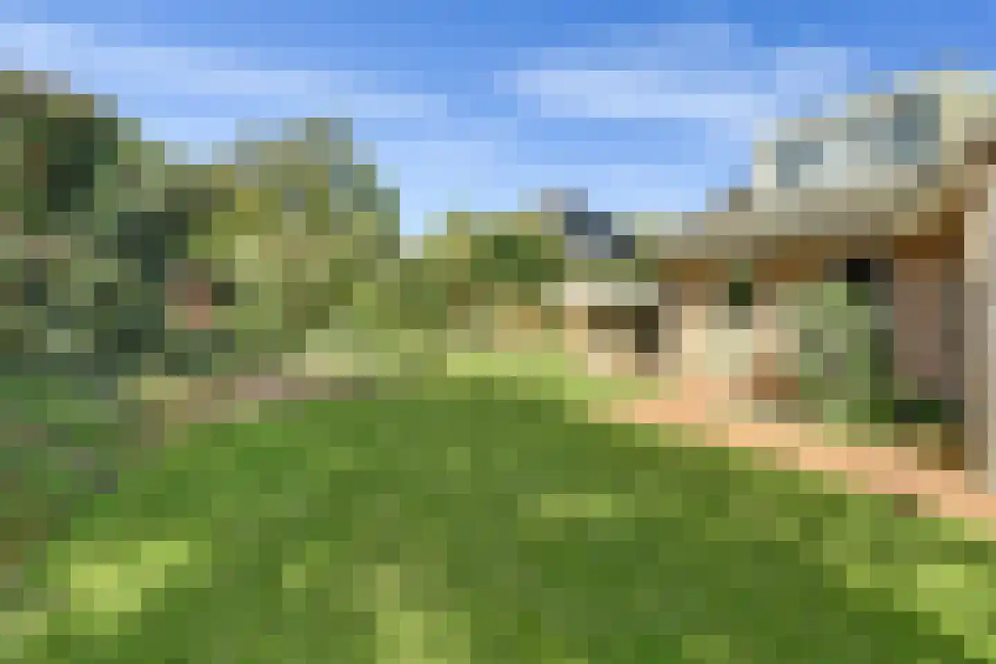 Grevelingenlaan 25 Burgh-Haamstede thumbnail 45