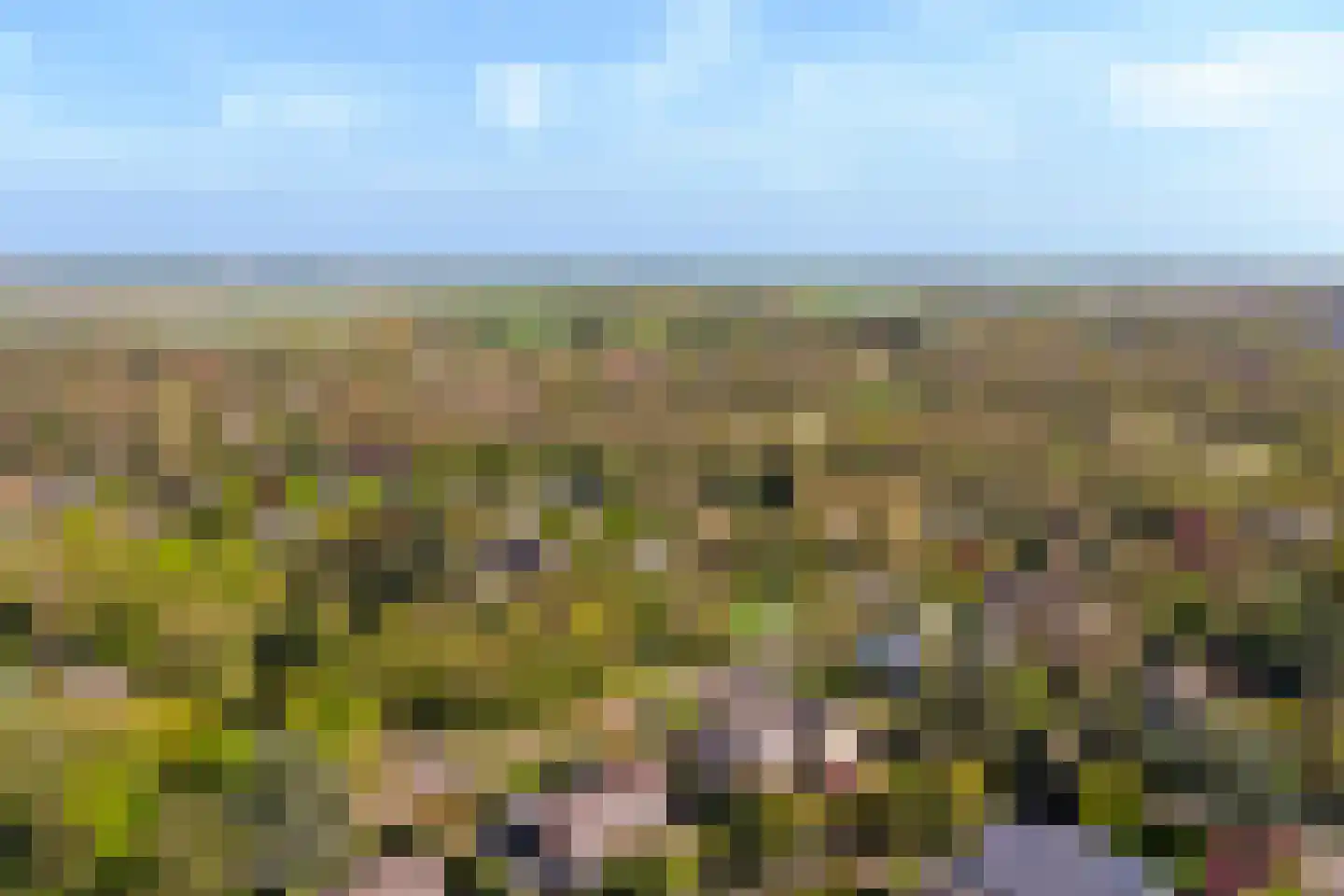 Grevelingenlaan 25 Burgh-Haamstede thumbnail 50