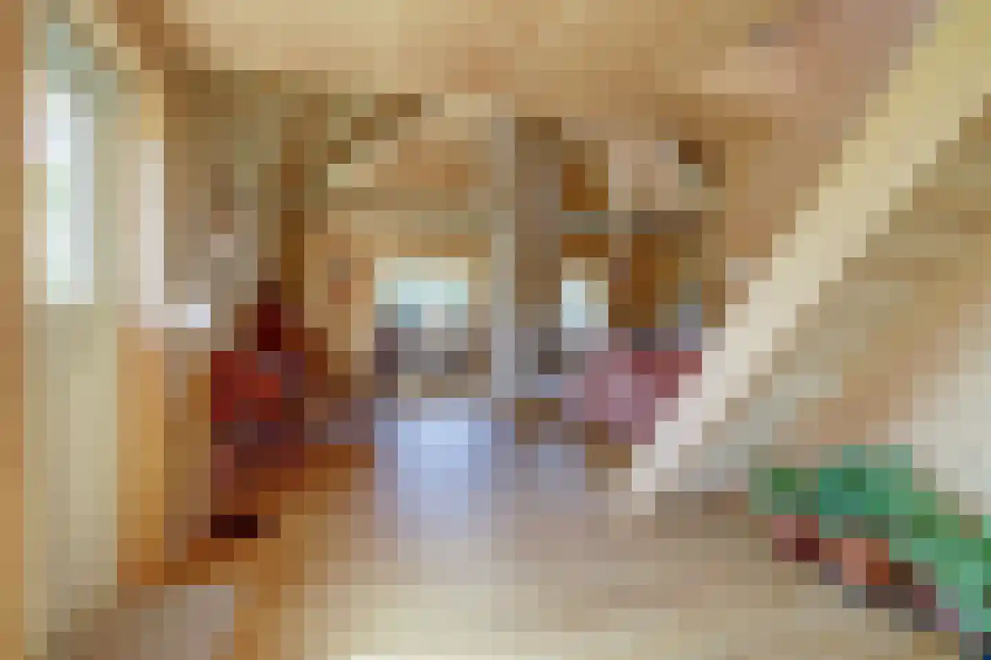Grevelingenlaan 25 Burgh-Haamstede thumbnail 9