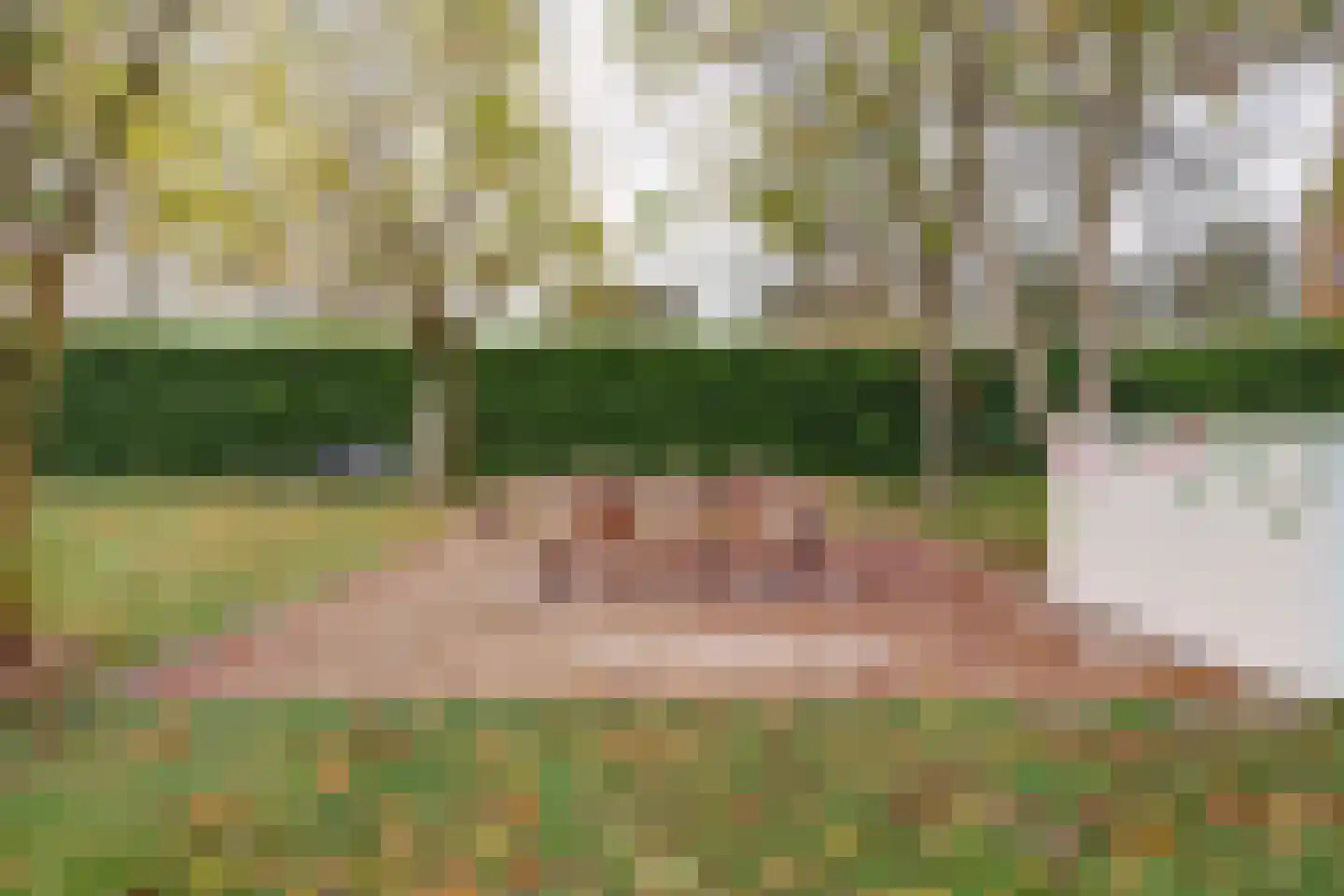 Grevelingenlaan 45 Burgh-Haamstede thumbnail 34