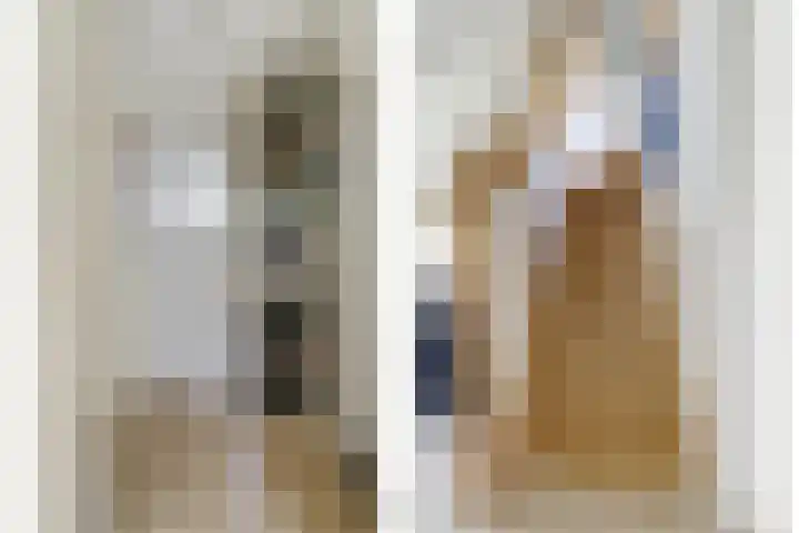 Grevelingenlaan 8 Burgh-Haamstede thumbnail 18