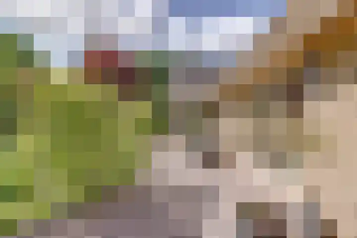 Grevelingenlaan 8 Burgh-Haamstede thumbnail 25