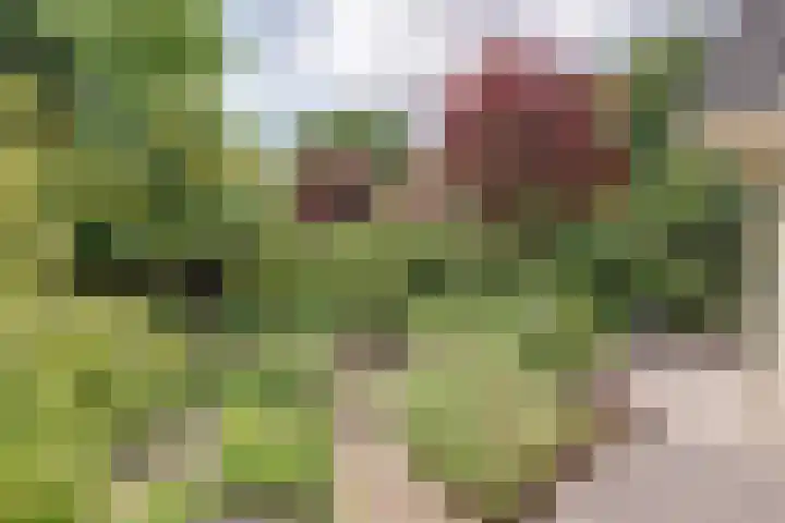 Grevelingenlaan 8 Burgh-Haamstede thumbnail 26