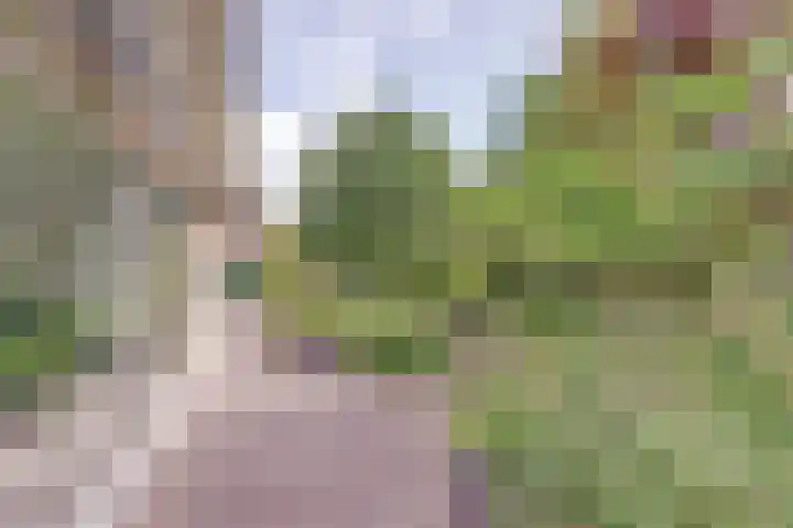 Grevelingenlaan 8 Burgh-Haamstede thumbnail 27