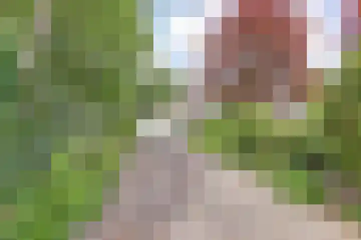 Grevelingenlaan 8 Burgh-Haamstede thumbnail 28