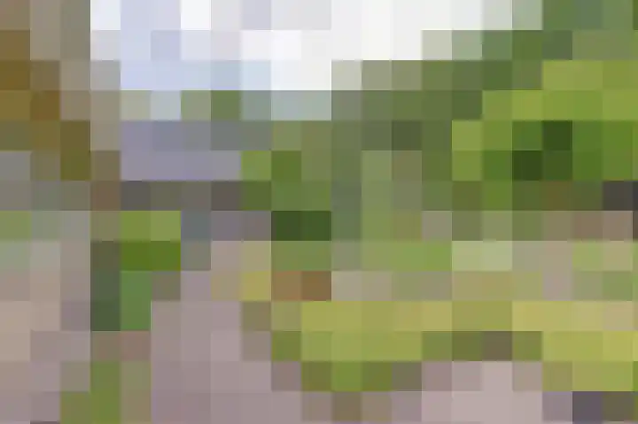 Grevelingenlaan 8 Burgh-Haamstede thumbnail 30