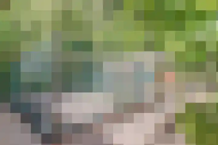 Grevelingenlaan 8 Burgh-Haamstede thumbnail 31