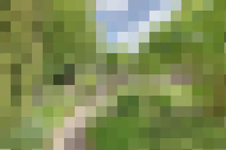 Grevelingenlaan 8 Burgh-Haamstede thumbnail 32
