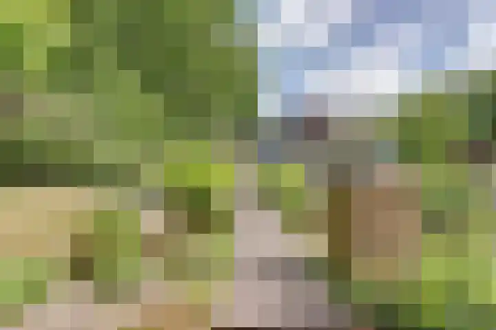 Grevelingenlaan 8 Burgh-Haamstede thumbnail 33