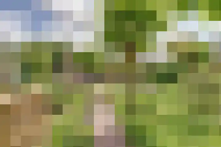 Grevelingenlaan 8 Burgh-Haamstede thumbnail 34