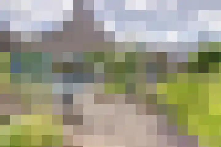 Grevelingenlaan 8 Burgh-Haamstede thumbnail 35