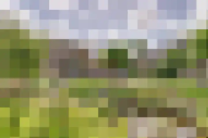 Grevelingenlaan 8 Burgh-Haamstede thumbnail 36