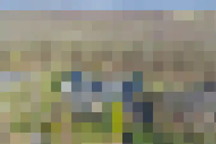 Grevelingenlaan 8 Burgh-Haamstede thumbnail 4